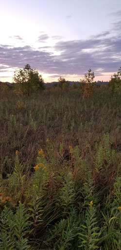 Convention Center «Fargodome», reviews and photos, 1800 N University Dr, Fargo, ND 58102, USA