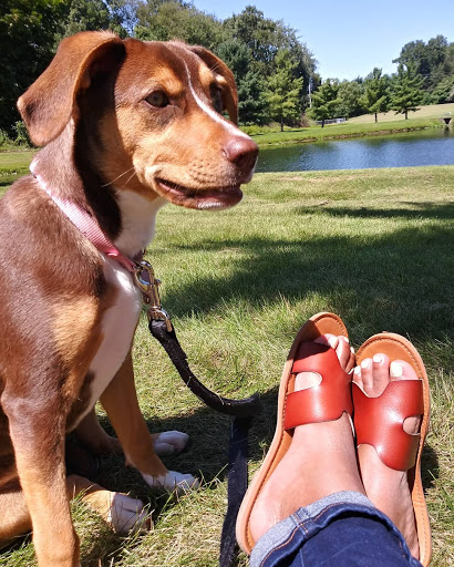 Pet Supply Store «Pet Supplies Plus», reviews and photos, 1970 Portage Trail, Cuyahoga Falls, OH 44223, USA