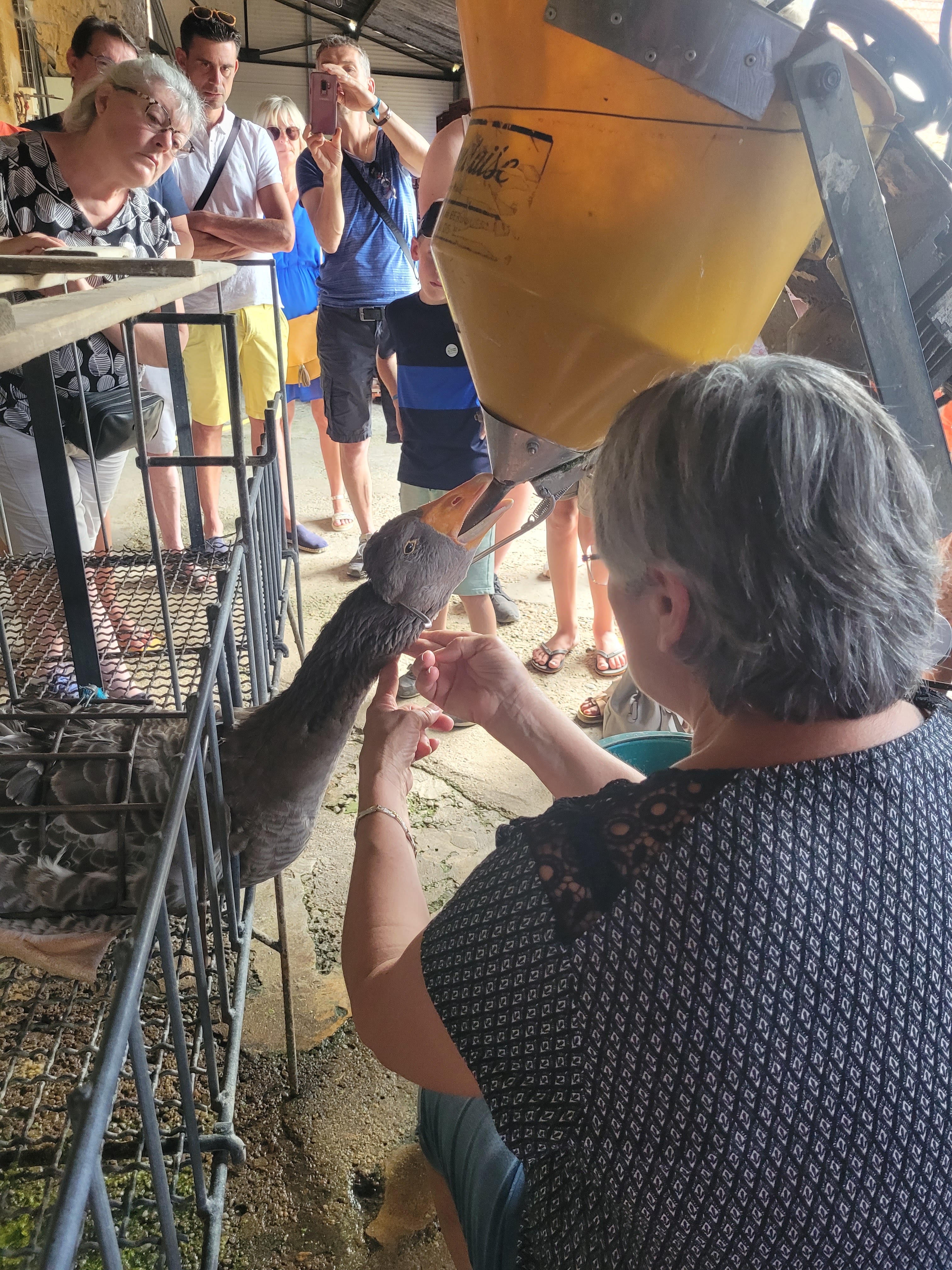 Photo n° 3 de l'avis de Léa.g fait le 18/07/2023 à 11:18