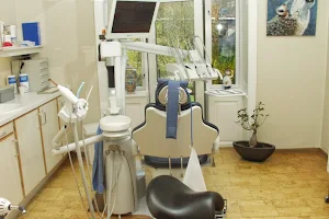 Tandlægerne ved Runddelen image