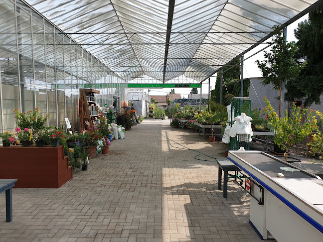 Értékelések erről a helyről: Bioritmus Kertészet, Székesfehérvár - Kertészkedő