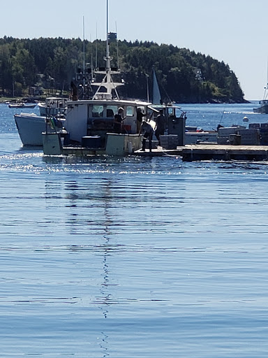 Nature Preserve «Johnson Field Preserve at Mackerel Cove», reviews and photos, 25 Abner Point Rd, Bailey Island, ME 04003, USA