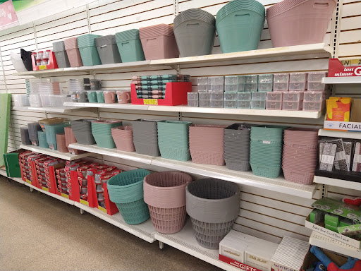 Dollar Store «Dollar Tree», reviews and photos, 1535 University Blvd E #F, Hyattsville, MD 20783, USA