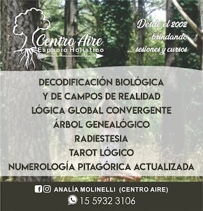 Reiki Terapias Centro Aire. Analía Molinelli.