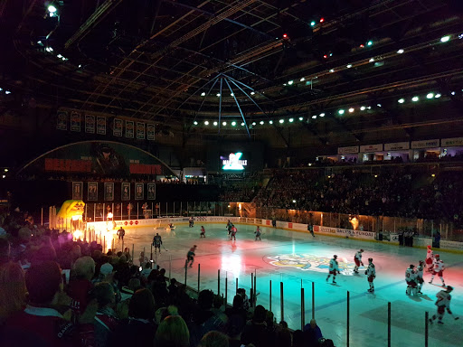 Belfast Giants Ice Hockey Club
