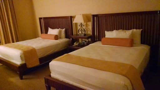 Hotel «Gaylord Opryland Resort & Convention Center», reviews and photos, 2800 Opryland Dr, Nashville, TN 37214, USA