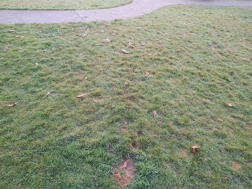 Park «Kerry Park», reviews and photos, 211 W Highland Dr, Seattle, WA 98119, USA