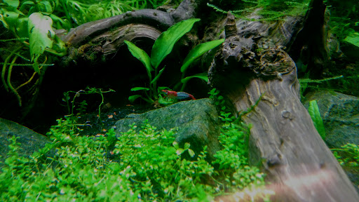 Science Museum «Discovery World», reviews and photos, 500 N Harbor Dr, Milwaukee, WI 53202, USA