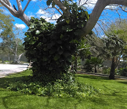 Lúa Centro Cultural photo