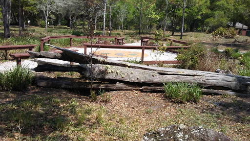 Nature Preserve «Crystal Springs Preserve», reviews and photos, 1609 Crystal Springs Rd, Crystal Springs, FL 33524, USA