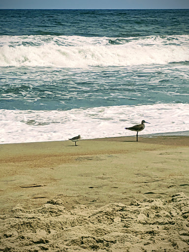 National Park «Cape Hatteras National Seashore», reviews and photos, Cape Hatteras National Park Rd, Nags Head, NC 27959, USA