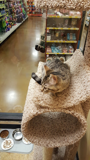 Pet Supply Store «PetSmart», reviews and photos, 2153 75th St, Darien, IL 60561, USA