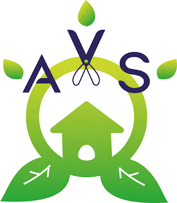 AVS Multi-service aux particuliers à Pressigny-les-Pins