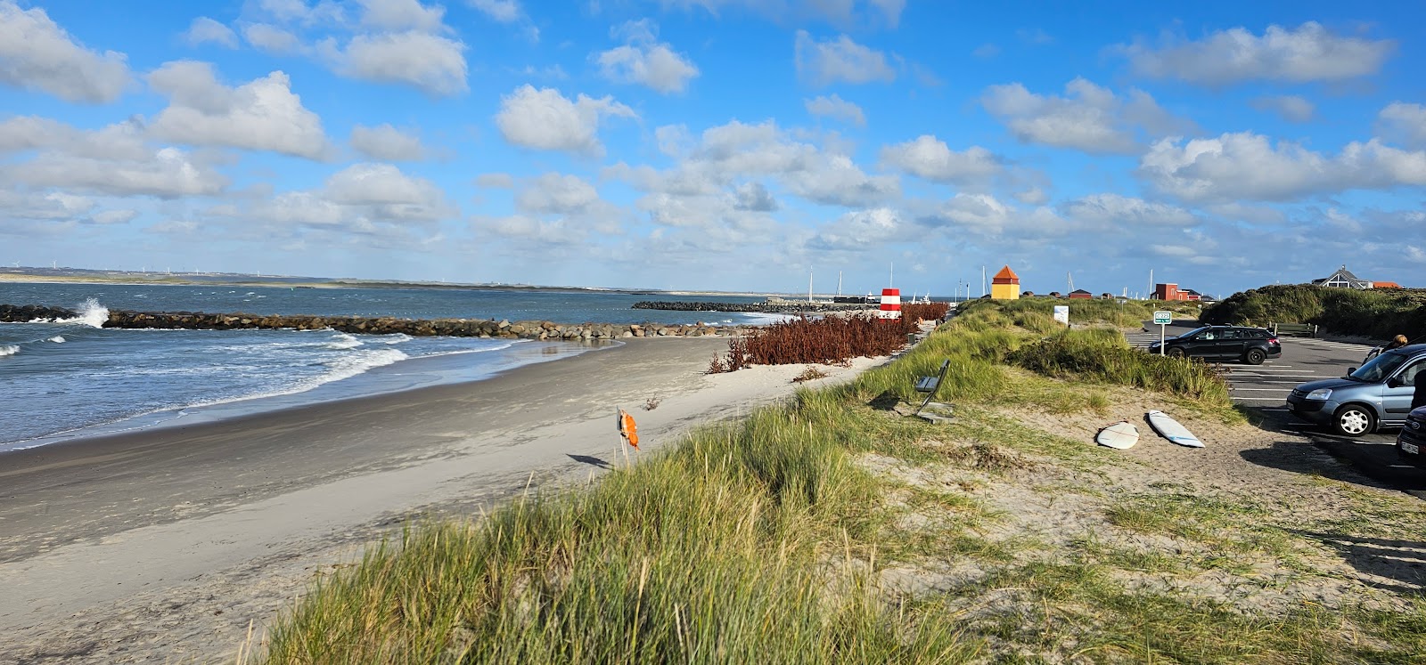 Thyboron Beach'in fotoğrafı vahşi alan