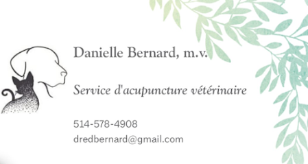 Service d'acupuncture vétérinaire Dre Danielle Bernard