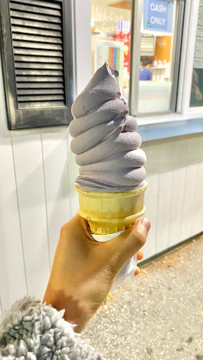 Ice Cream Shop «Blueberry Hill Dairy Bar», reviews and photos, 355 High St, Ellsworth, ME 04605, USA