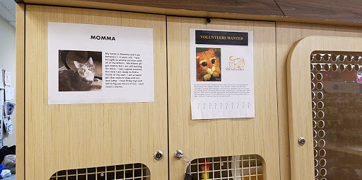 Pet Supply Store «Petco Animal Supplies», reviews and photos, 1121 5th St, Miami Beach, FL 33139, USA