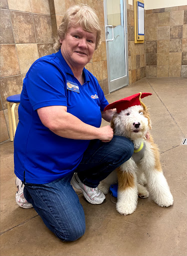 Pet Supply Store «PetSmart», reviews and photos, 1700 Fruitville Pike, Lancaster, PA 17601, USA