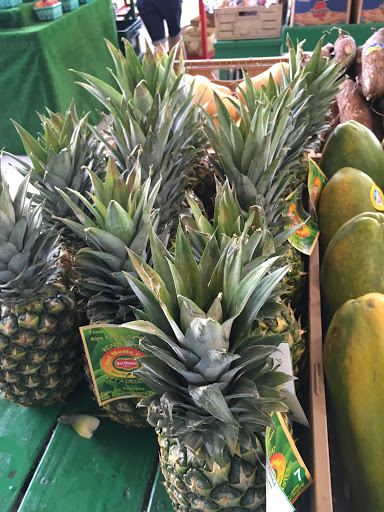 Produce Market «Nelson Family Farms», reviews and photos, 875 W Midway Rd, Fort Pierce, FL 34982, USA