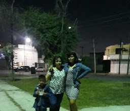 Dr. Enrique C. Livas Park photo