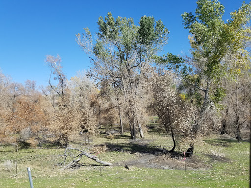 House Cleaning Service «2 Local Gals Housekeeping», reviews and photos, 921 Executive Park Drive 5350 S f, Salt Lake City, UT 84117, USA