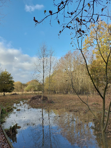 Reviews of Askham Bog in York - Other