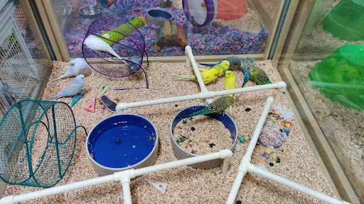 Pet Supply Store «Pet Supermarket», reviews and photos, 3316 Battleground Ave, Greensboro, NC 27410, USA