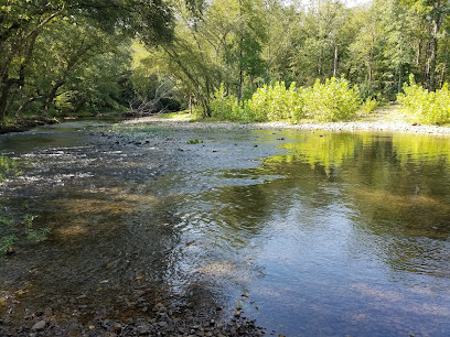 Bluffton Preserve on the Archey Fork