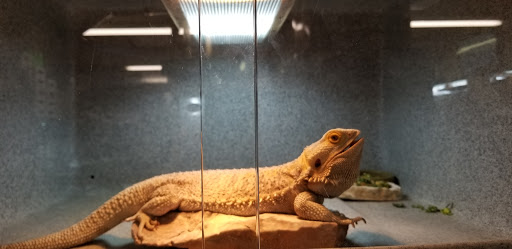 Pet Supply Store «Pet Bazaar», reviews and photos, 490 FL-436, Casselberry, FL 32707, USA