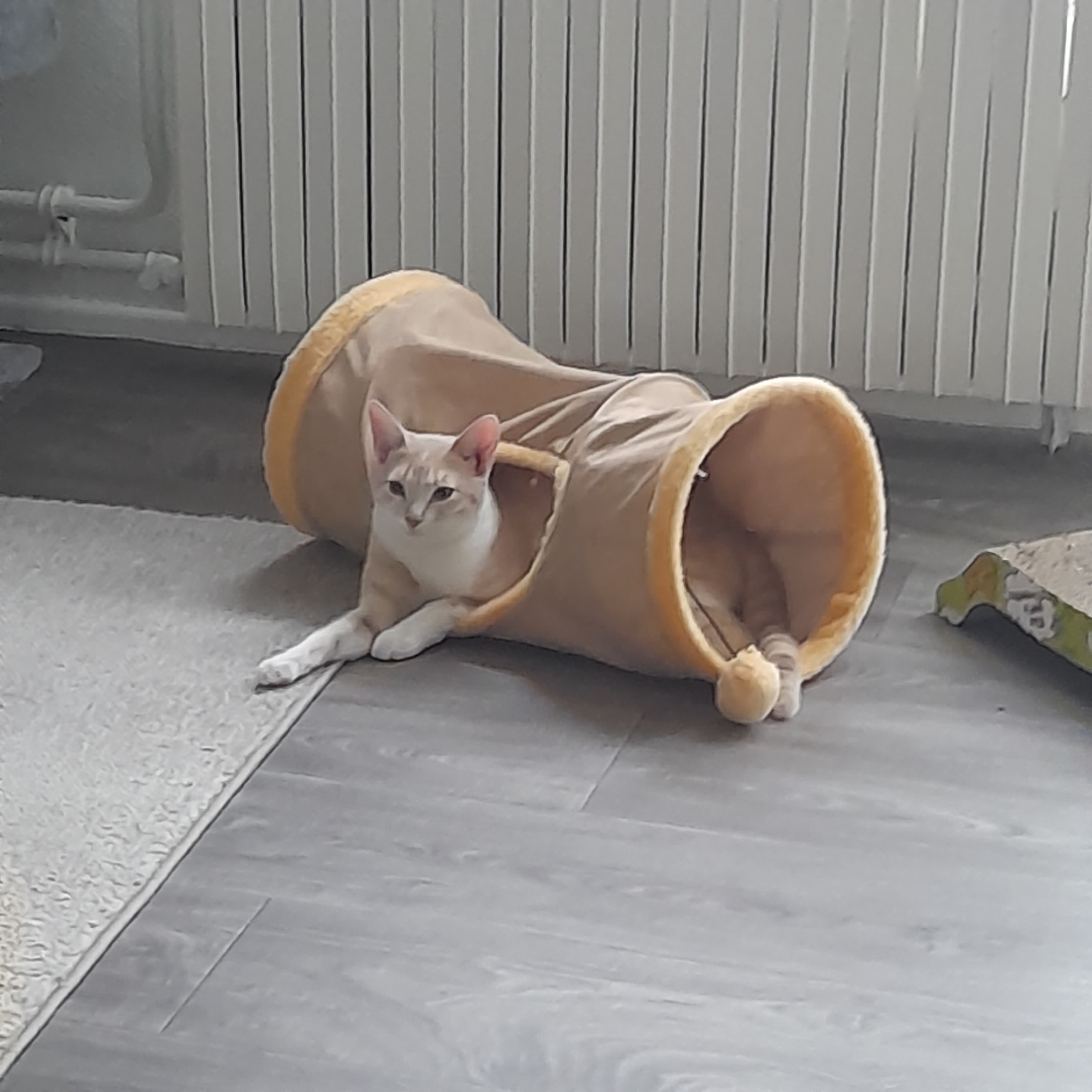 Photo n° 2 de l'avis de celine.a fait le 16/02/2024 à 16:44