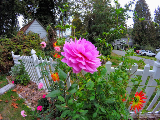 Park «Lake Boren Park», reviews and photos, 13058 SE 84th Way, Newcastle, WA 98056, USA