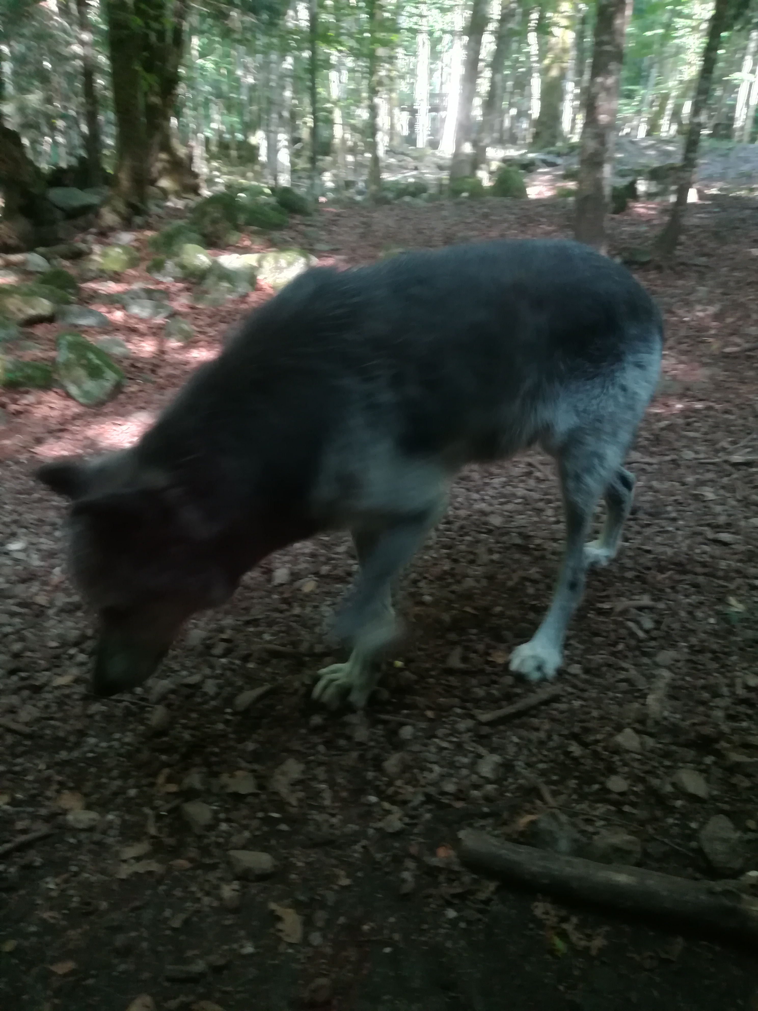 Photo n° 1 de l'avis de Audrey.� fait le 28/07/2017 à 17:11