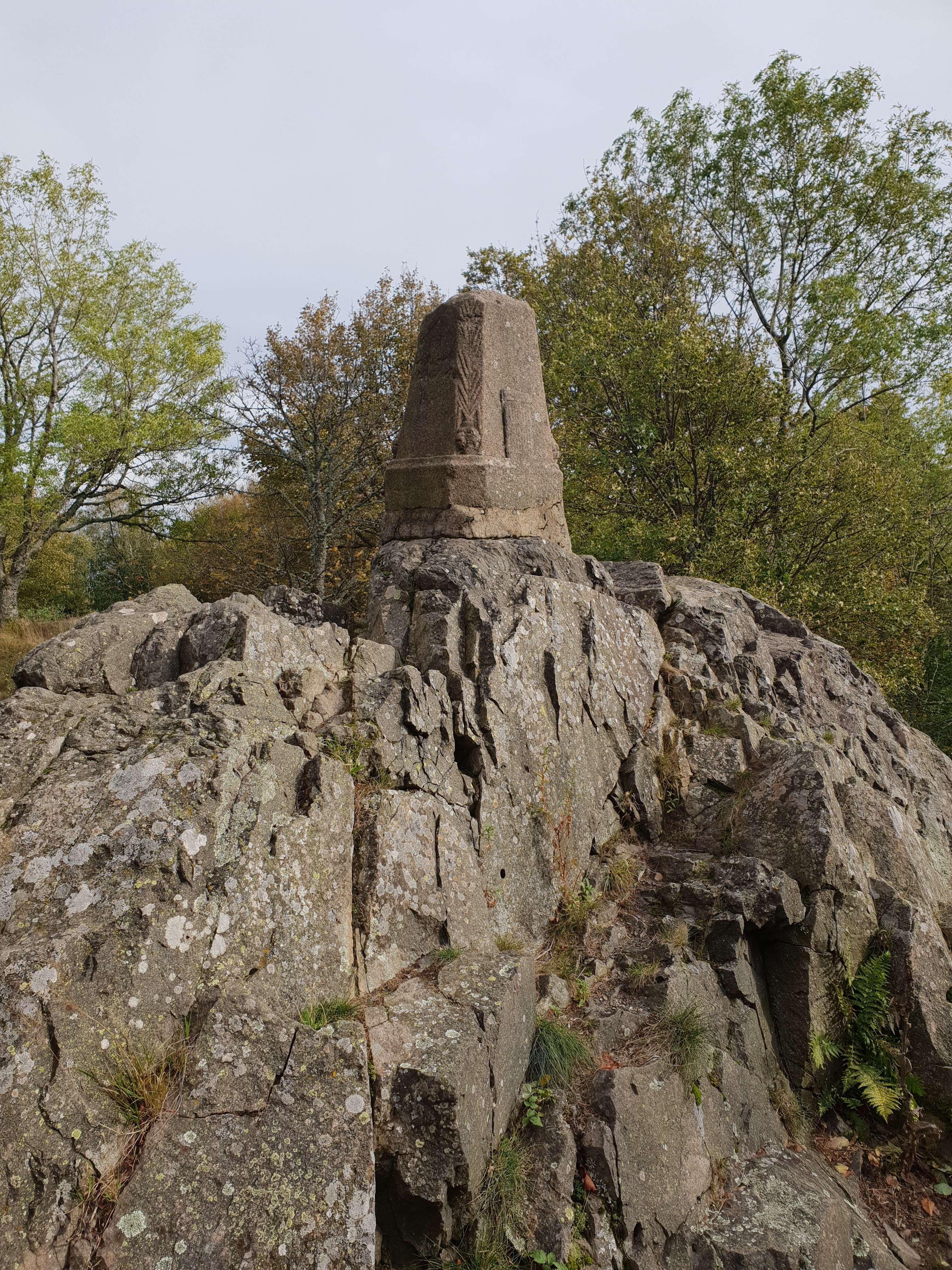 Photo n° 10 de l'avis de sandra.w fait le 26/10/2020 à 15:14