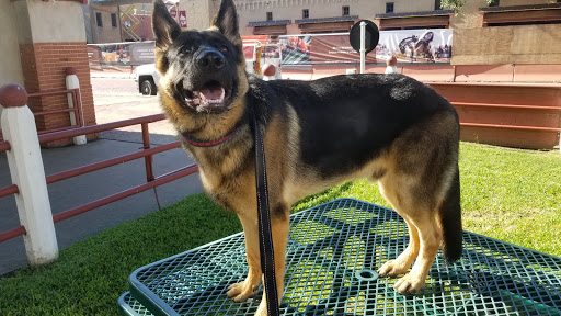 Tourist Attraction «Stockyards Championship Rodeo», reviews and photos, 121 E Exchange Ave, Fort Worth, TX 76164, USA