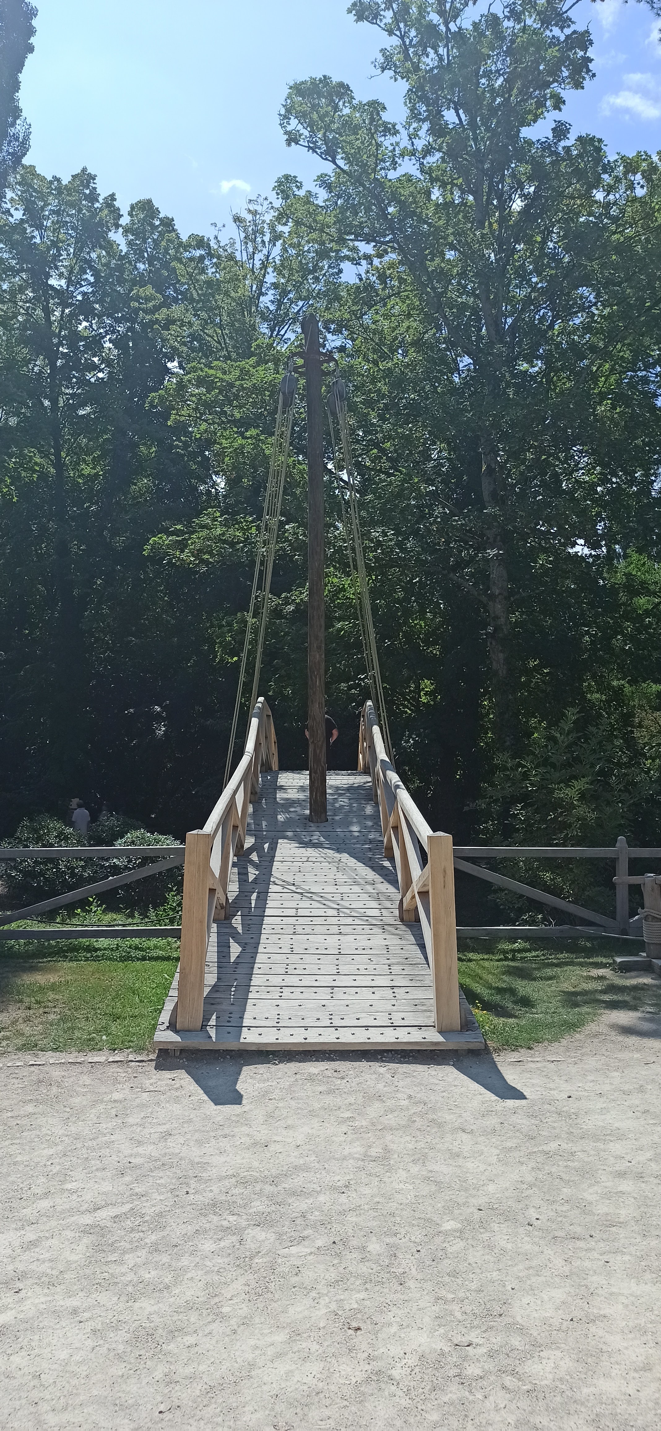 Photo n° 39 de l'avis de Patawin.e fait le 21/07/2023 à 11:31