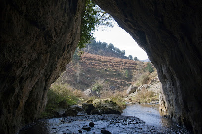 Reserva natural - Túnel de Abaro - Indusi