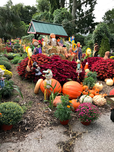 Florist «Blossom Time Florists», reviews and photos, 1868 Victory Blvd, Staten Island, NY 10314, USA