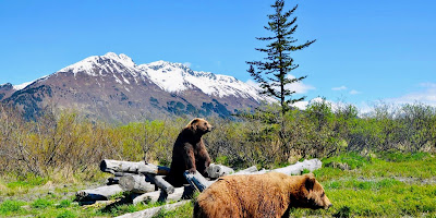 Alaska Wildlife Conservation Center