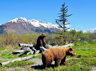 Alaska Wildlife Conservation Center