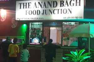 THE ANAND BAGH FOOD JUCTION image