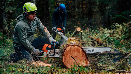 ARBOR VISION TREE SERVICE LLC