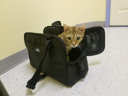 10525 Middleport Ln, White Plains, MD 20695, USA