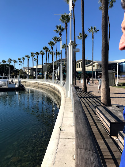 Long Beach Hilton - Valet Parking