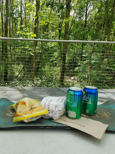 Park «Arthur K Draut Park», reviews and photos, Bowling Blvd, St Matthews, KY 40207, USA