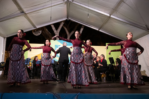 Imagen del negocio Escuela de Danza ROCIO POZO en Telde, Las Palmas