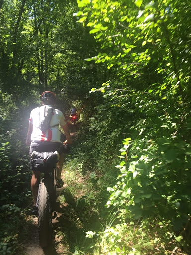 Grocery Store «Unadilla Store», reviews and photos, 13329 Unadilla Rd, Gregory, MI 48137, USA