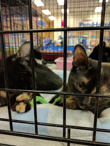 Pet Supply Store «PetSmart», reviews and photos, 7600 Edinger Ave, Huntington Beach, CA 92647, USA