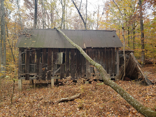 State Park «Rosaryville State Park», reviews and photos, 7805 W Marlton Ave, Clinton, MD 20735, USA