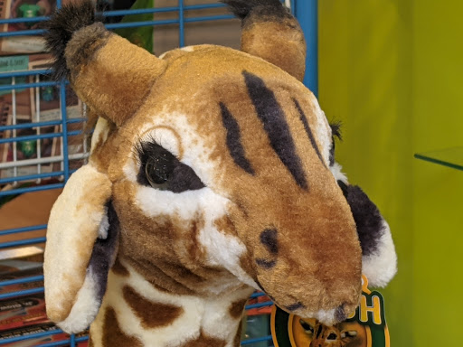 Toy Store «Genuine Toy Co.», reviews and photos, 550 Forest Ave Suite 8, Plymouth, MI 48170, USA