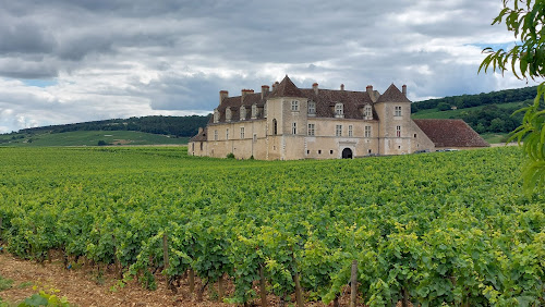 attractions Château du Clos de Vougeot Vougeot